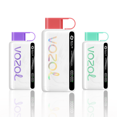 VOZOL 12000 PUFFS